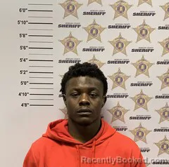 Mugshot of FREDRICK HEW JR PORTER