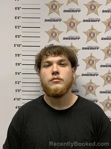 Mugshot of BRYLEE CHANCE HINTON