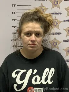 Mugshot of AMANDA KAY FOWLER