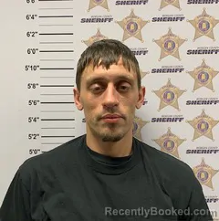 Mugshot of AUBURN ZACHARY NETHERY