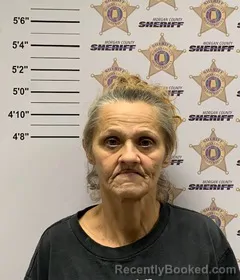 Mugshot of DARLENE GAIL BRYANT