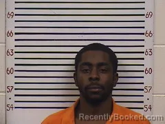Mugshot of JORIEN REEVES