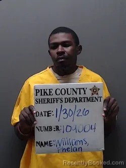 Mugshot of PHELAN MARQUES WILLIAMS