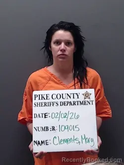 Mugshot of MARY ELIZABETH CLEMENTS