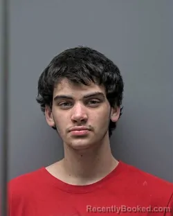 Mugshot of Tristan Ray Dickson