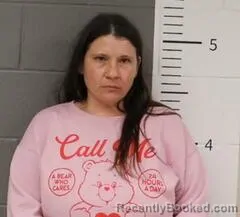 Booking photo from St Clair County, Alabama