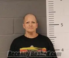 Booking photo from St Clair County, Alabama