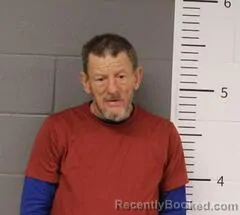Mugshot of DAVID HAYNES