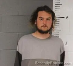 Booking photo from St Clair County, Alabama