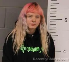 Mugshot of ASHLYN THORN