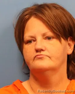 Mugshot of LASHEENA STAR CHASTINE