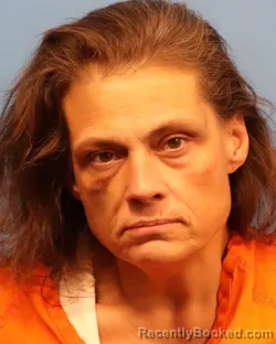 Mugshot of CHRISTINE LYNN RIZZO