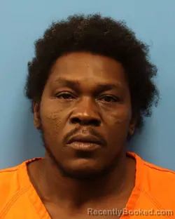 Mugshot of DELOREAN LANE WILLIAMS