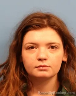 Booking photo from Shelby County, Alabama