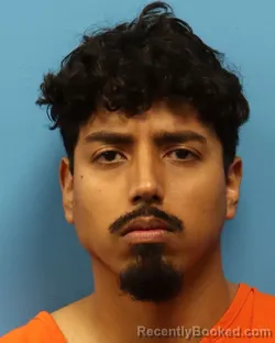 Mugshot of FERNANDO JR VEGA