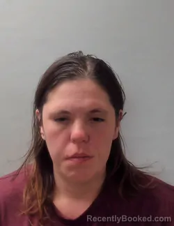 Mugshot of TARA MICHELLE HIGGINS