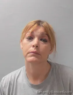 Mugshot of CYNTHIA DEAN LINER