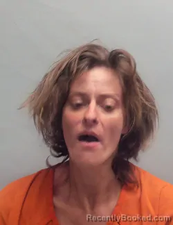 Mugshot of NATASHA ANN WILLIAMS