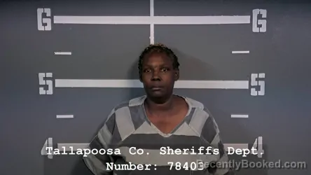 Mugshot of TOYNA LYNETTE WILKERSON