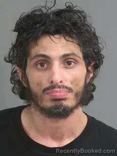 Mugshot of DAVID MARTIN DWECK