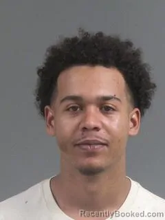 Mugshot of DASAN TYLER HIGGINS