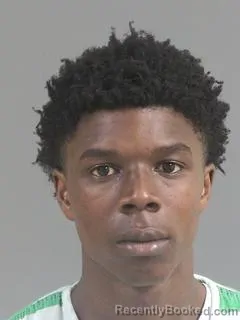 Mugshot of DERRICK JERMAINE ROLLERSON JR