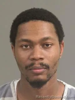 Mugshot of MICHELOT THERVIL