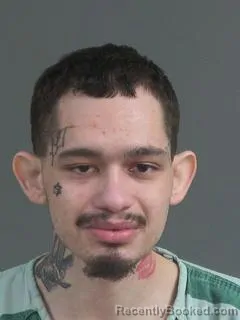 Mugshot of SHANE DRIGGERS