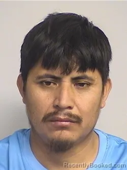 Booking photo from Tuscaloosa County, Alabama