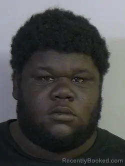 Mugshot of Witherspoon