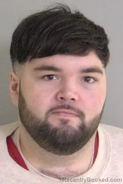 Mugshot of David Patrick Williams