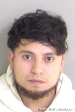 Mugshot of Armando Jose Perez