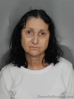 Booking photo from Charlotte County, Florida