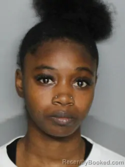 Mugshot of TYSHAUNNA UNIQUE BRYANT