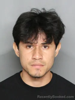Mugshot of MARIO ALBERTO CRUZ