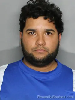 Mugshot of RONALDO JOSE HIRAOLA-BOCOUL