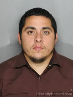 Mugshot of FROYLAN LEYVA