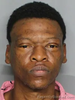 Mugshot of JOSEPH MATTHEW LEE