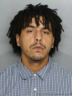 Mugshot of ORLANDO SANDEARGO LEWIS