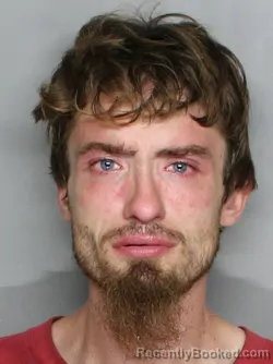 Mugshot of JAMES JOSEPH ALAN MICHAEL