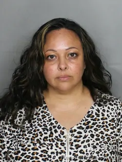 Mugshot of JESSICA SOPHIA MULGADO