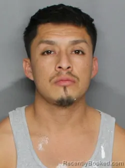 Booking photo from Charlotte County, Florida