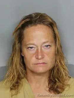 Mugshot of ERIN MARIE VALASUNAS