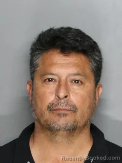 Mugshot of LUIS FELIPE VILLA