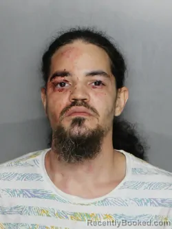 Mugshot of MICHAEL VALLE DOMINGUEZ