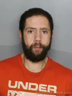 Mugshot of ADAM LEE WILSON