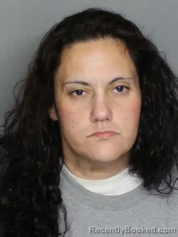 Mugshot of AMANDA LYNN WILLIAMS