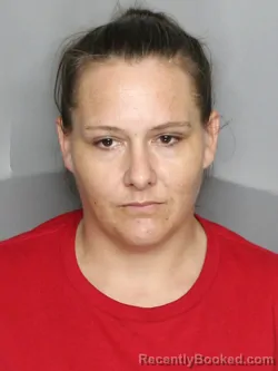 Booking photo from Charlotte County, Florida