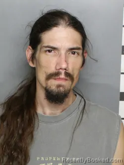 Mugshot of RICHARD MICHAEL WALTERS