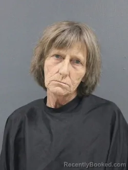 Mugshot of Carol Vinesett
